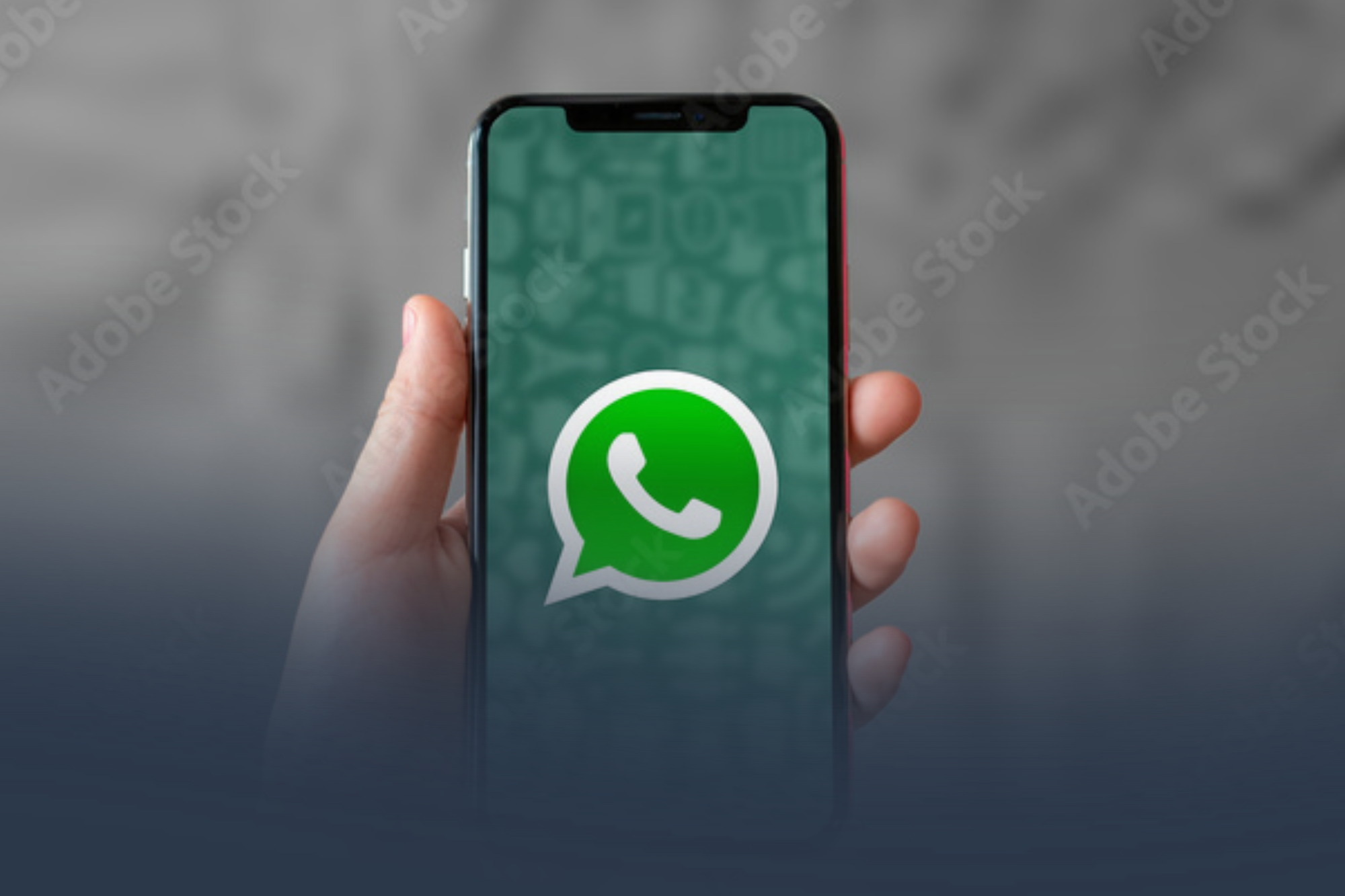 Gestão de WhatsApp